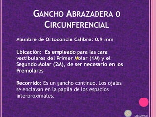 Gancho Abrazadera o Circunferencial<br />Alambre de Ortodoncia Calibre: 0.9 mm <br />Ubicación:  Es empleado para las cara...