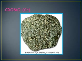 Elementos secundarios oligoelementos