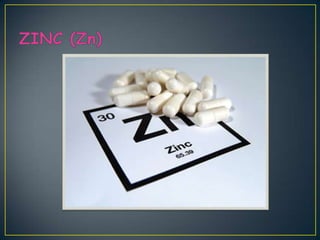 Elementos secundarios oligoelementos