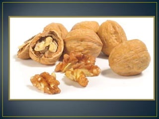 Elementos secundarios oligoelementos