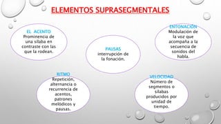 ELEMENTOS SUPRASEGMENTALES
PAUSAS
interrupción de
la fonación.
RITMO
Repetición,
alternancia o
recurrencia de
acentos,
patrones
melódicos y
pausas.
VELOCIDAD
Número de
segmentos o
sílabas
producidos por
unidad de
tiempo.
ENTONACIÓN
Modulación de
la voz que
acompaña a la
secuencia de
sonidos del
habla.
EL ACENTO
Prominencia de
una sílaba en
contraste con las
que la rodean.