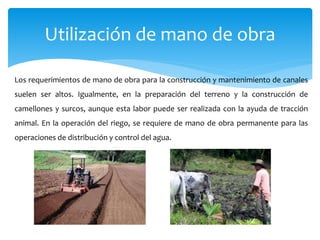 Utilización de mano de obra
Los requerimientos de mano de obra para la construcción y mantenimiento de canales
suelen ser altos. Igualmente, en la preparación del terreno y la construcción de
camellones y surcos, aunque esta labor puede ser realizada con la ayuda de tracción
animal. En la operación del riego, se requiere de mano de obra permanente para las
operaciones de distribución y control del agua.
 