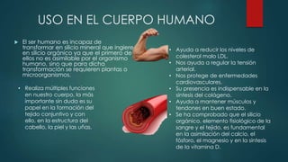 USO EN EL CUERPO HUMANO
 El ser humano es incapaz de
transformar en silicio mineral que ingiere
en silicio orgánico ya que el primero de
ellos no es asimilable por el organismo
humano, sino que para dicha
transformación se requieren plantas o
microorganismos.
• Realiza múltiples funciones
en nuestro cuerpo, la más
importante sin duda es su
papel en la formación del
tejido conjuntivo y con
ello, en la estructura del
cabello, la piel y las uñas.
• Ayuda a reducir los niveles de
colesterol malo LDL.
• Nos ayuda a regular la tensión
arterial.
• Nos protege de enfermedades
cardiovasculares.
• Su presencia es indispensable en la
síntesis del colágeno.
• Ayuda a mantener músculos y
tendones en buen estado.
• Se ha comprobado que el silicio
orgánico, elemento fisiológico de la
sangre y el tejido, es fundamental
en la asimilación del calcio, el
fósforo, el magnesio y en la síntesis
de la vitamina D.
 