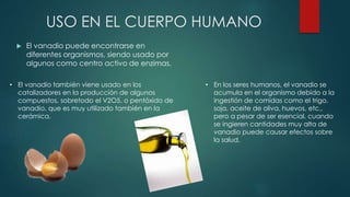 USO EN EL CUERPO HUMANO
 El vanadio puede encontrarse en
diferentes organismos, siendo usado por
algunos como centro activo de enzimas.
• El vanadio también viene usado en los
catalizadores en la producción de algunos
compuestos, sobretodo el V2O5, o pentóxido de
vanadio, que es muy utilizado también en la
cerámica.
• En los seres humanos, el vanadio se
acumula en el organismo debido a la
ingestión de comidas como el trigo,
soja, aceite de oliva, huevos, etc.,
pero a pesar de ser esencial, cuando
se ingieren cantidades muy alta de
vanadio puede causar efectos sobre
la salud,
 