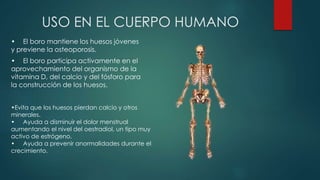 USO EN EL CUERPO HUMANO
• El boro mantiene los huesos jóvenes
y previene la osteoporosis.
• El boro participa activamente en el
aprovechamiento del organismo de la
vitamina D, del calcio y del fósforo para
la construcción de los huesos.
•Evita que los huesos pierdan calcio y otros
minerales.
• Ayuda a disminuir el dolor menstrual
aumentando el nivel del oestradiol, un tipo muy
activo de estrógeno.
• Ayuda a prevenir anormalidades durante el
crecimiento.
 