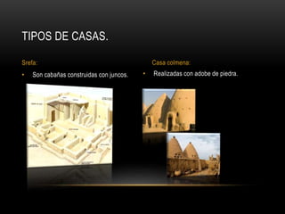 • Son cabañas construidas con juncos.
TIPOS DE CASAS.
Srefa: Casa colmena:
• Realizadas con adobe de piedra.
 