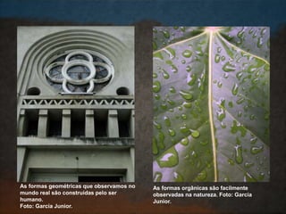 As formas geométricas que observamos no
mundo real são construídas pelo ser
humano.
Foto: Garcia Junior.
As formas orgânicas são facilmente
observadas na natureza. Foto: Garcia
Junior.
 