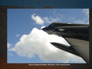 Caça no Campo de Marte, São Paulo. Foto: Garcia Junior.
 