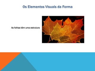 As folhas têm uma estrutura
 