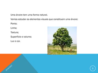 Uma árvore tem uma forma natural.
Vamos estudar os elementos visuais que constituem uma árvore:
Ponto;
Linha;
Textura;
Superfície e volume;
Luz e cor.
5
 