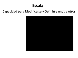 Escala
Capacidad para Modificarse y Definirse unos a otros
 