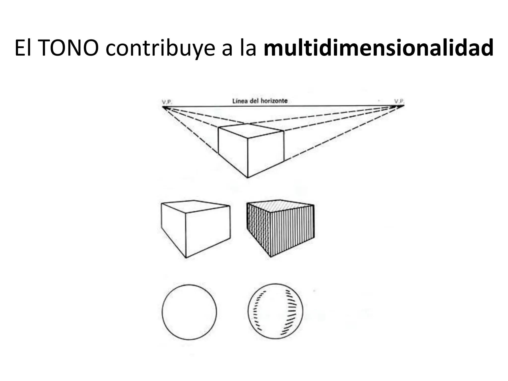 El TONO contribuye a la multidimensionalidad
 