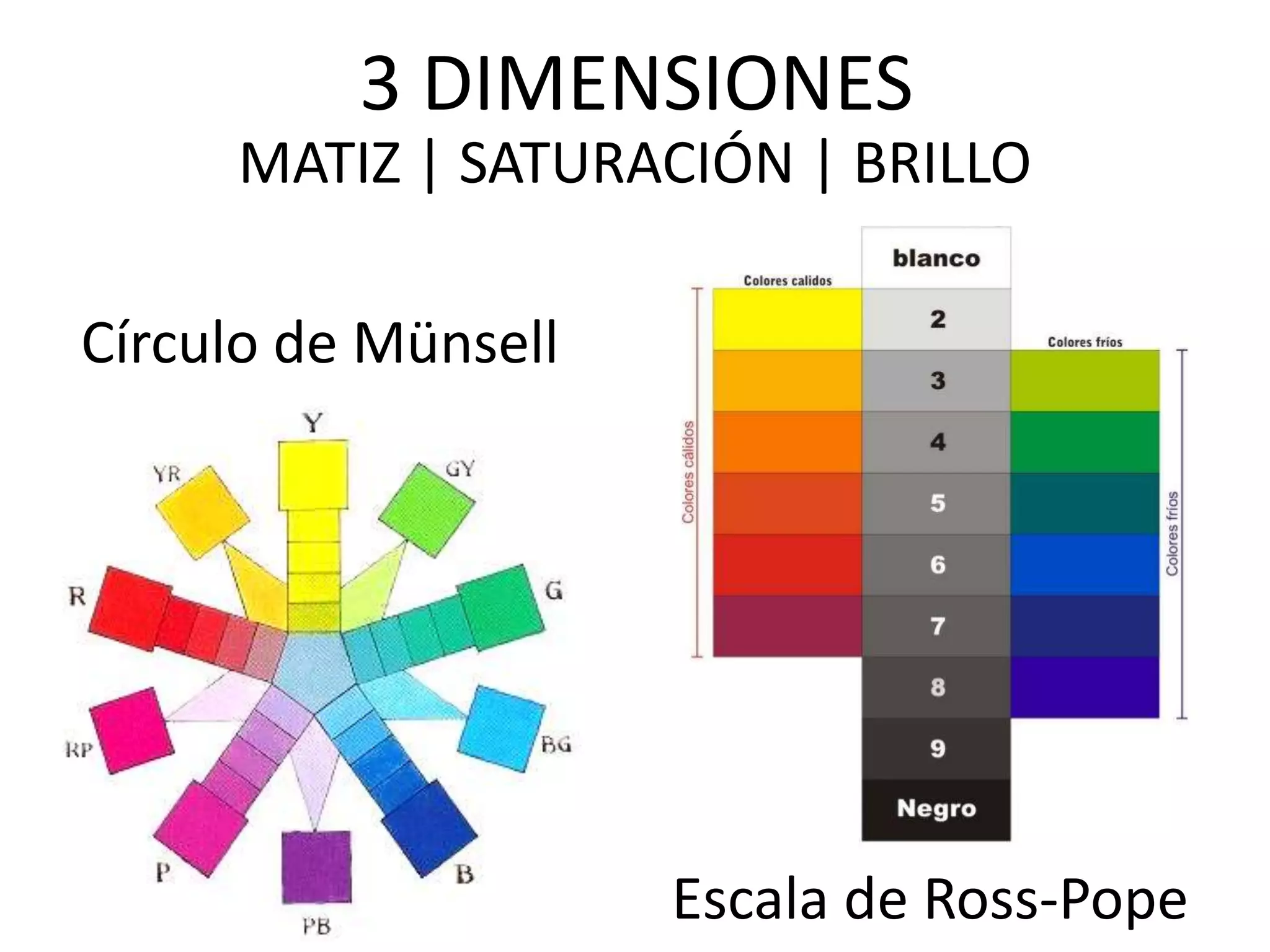 3 DIMENSIONES
MATIZ | SATURACIÓN | BRILLO
Círculo de Münsell
Escala de Ross-Pope
 