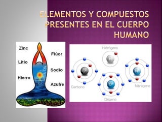 Elementos y compuestos presentes en el cuerpo humano | PPTX