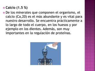 Elementos y compuestos presentes en el cuerpo humano | PPTX
