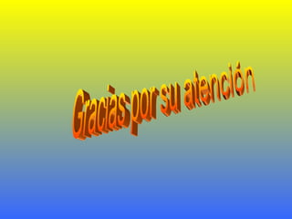 Gracias por su atención 