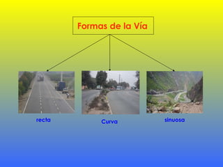 Formas de la Vía recta Curva sinuosa  