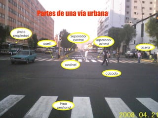 acera sardinel calzada carril Paso peatonal Separador central Separador  Lateral Limite propiedad Partes de una vía urbana 