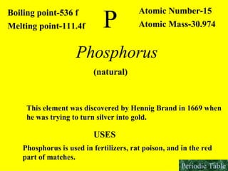 P  Boiling point-536 f Melting point-111.4f Atomic Number-15 Atomic Mass-30.974 Phosphorus (natural) This element was discovered by Hennig Brand in 1669 when  he was trying to turn silver into gold.  USES Phosphorus is used in fertilizers, rat poison, and in the red  part of matches. Periodic Table 