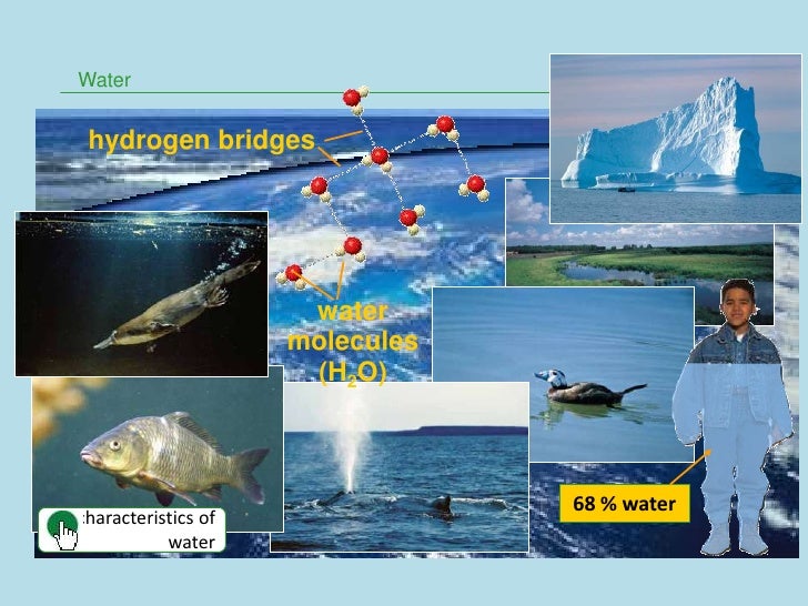 3319135112 evaporites a geological compendium elements 3319135112 evaporites a geological compendium elements