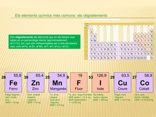 Els elements químics més comuns: els oligoelements
Són oligoelements els elements que en els éssers vius
estan en un percentatge menor (aproximadament
el 0,1%), tot i que són indispensables per a tots els éssers
vius, com el Fe, el Zn, el Mn, el F, el I, el Cu i el Co.
I
Iode
53 126,9
Co
Cobalt
27 58,9
F
Fluor
9 19
Cu
Coure
29 63,5
Zn
Zinc
30 65,4
Mn
Manganès
25 54,9
Fe
Ferro
55,826
Fetge, llegums,
carn i rovell
d’ou.
QDR = 14 mg
Carn, cereals
integrals
i llegums.
QDR = 15 mg
Te, arròs
integral,
fruta seca
i llegums.
QDR = 2-5 mg
Te, peix i aigua fluorada.
QDR adults = 1,5-4 mg
QDR adolescents =
= 1,5-25 mg
Sal iodada,
marisc i algues.
QDR = 150 mg
Fetge, nous
i llegums.
QDR = 1,5-3 mg
Carn, peix,
làctics i llenties.
QDR = 0,15-0,6 mg
 