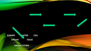 ELEMENT MATTER CELL
ORGAN TISSUE
( EXAMPLE: HEART)
ORGAN SYSTEM
( EXAMPLE : CIRCULATORY SYSTEM)
 
