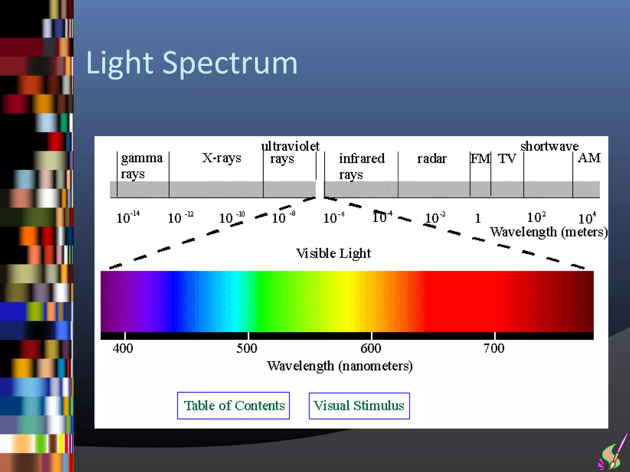Light Spectrum
 