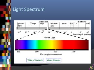 Light Spectrum
 