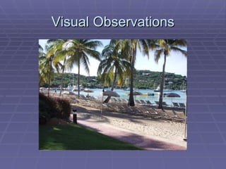 Diedrich Chemicals [Read Only]