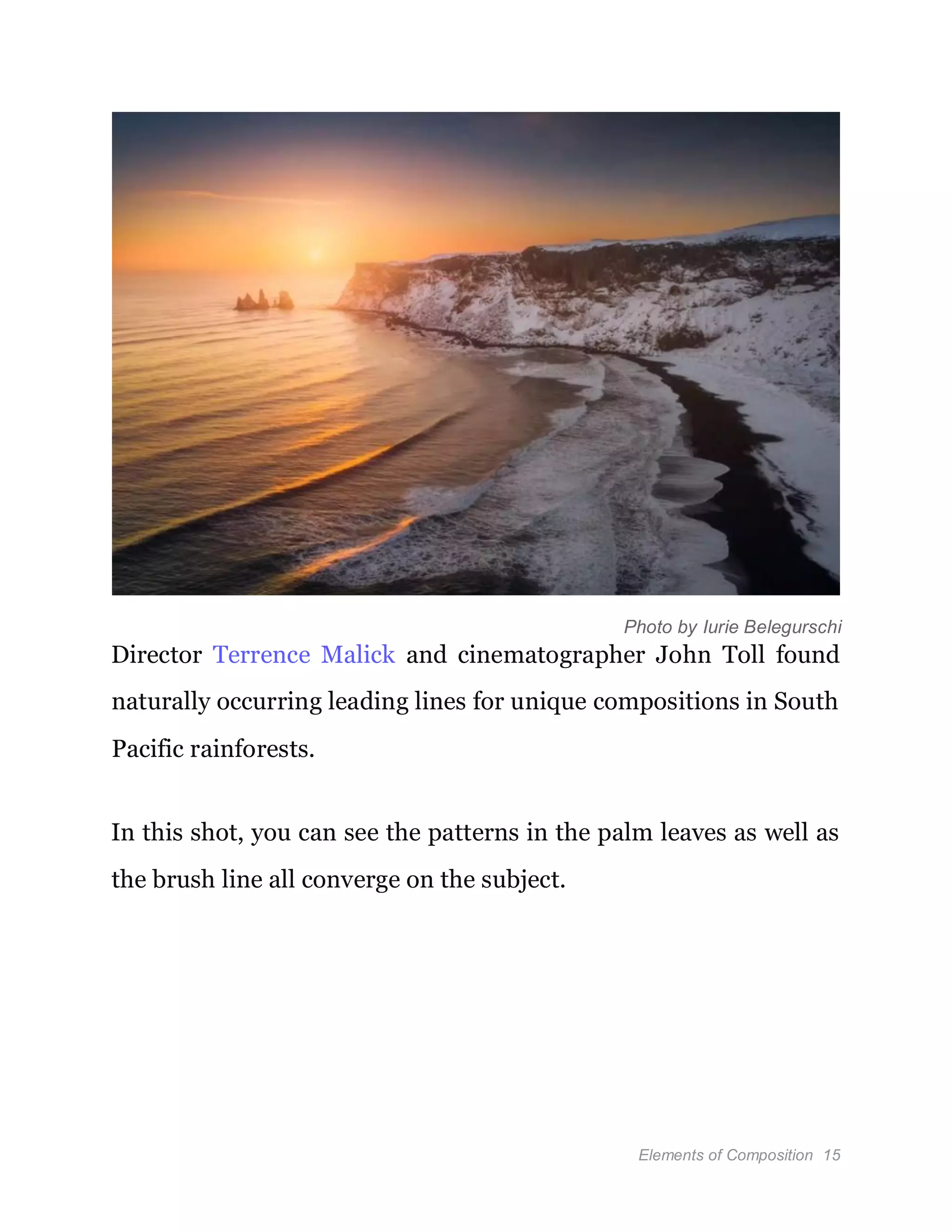 Elements of Composition 15
Photo by Iurie Belegurschi
Director Terrence Malick and cinematographer John Toll found
naturally occurring leading lines for unique compositions in South
Pacific rainforests.
In this shot, you can see the patterns in the palm leaves as well as
the brush line all converge on the subject.
 