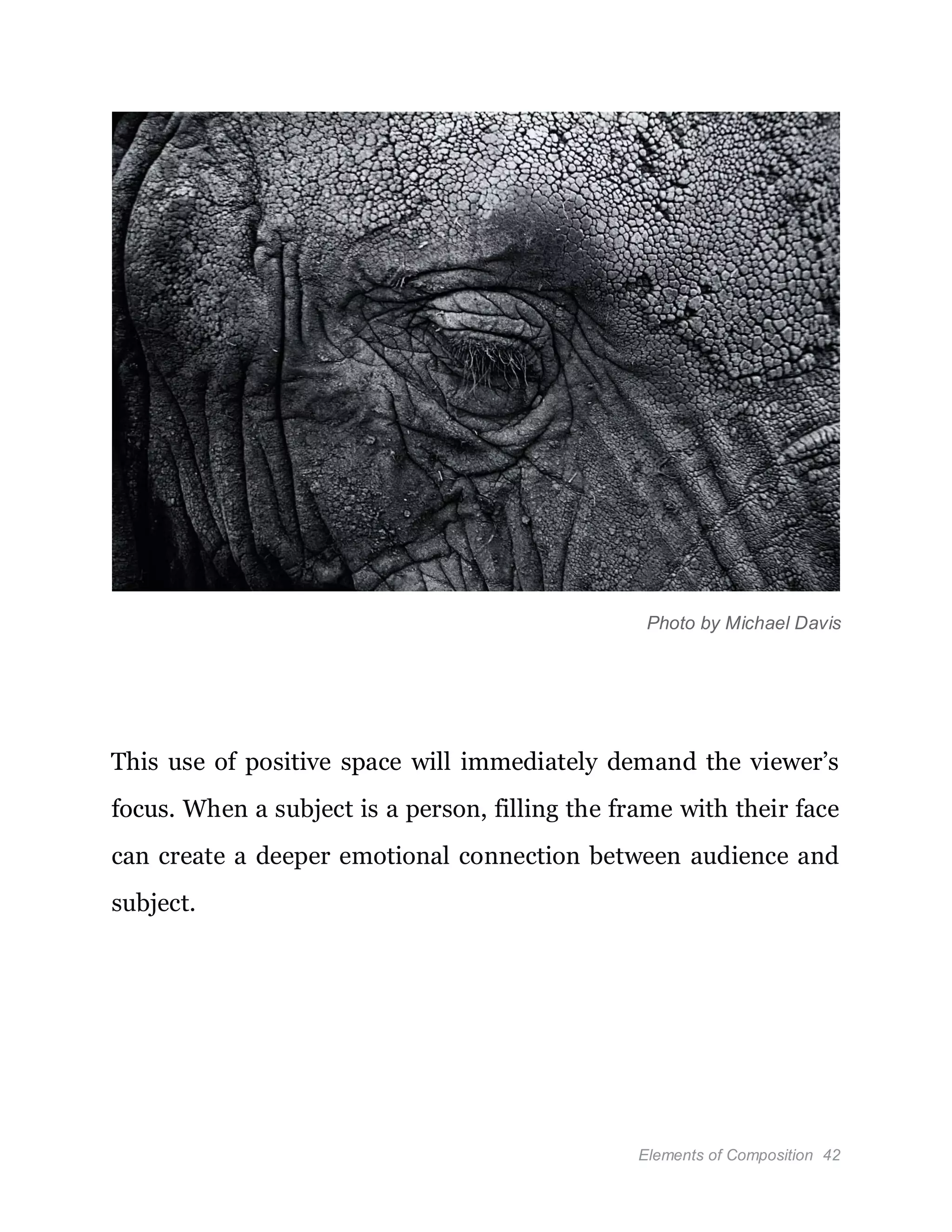 Elements of Composition 42
Photo by Michael Davis
This use of positive space will immediately demand the viewer’s
focus. When a subject is a person, filling the frame with their face
can create a deeper emotional connection between audience and
subject.
 