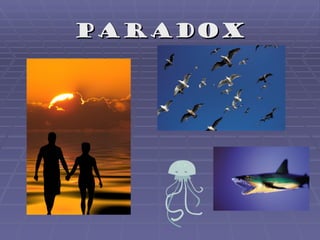 paradox
 