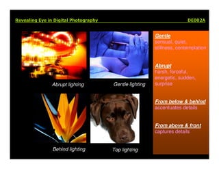 Elements Of Visual Design