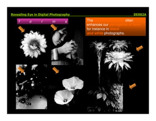 Elements Of Visual Design