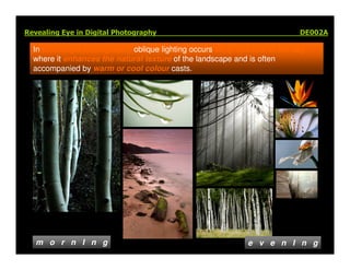 Elements Of Visual Design