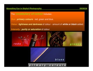 Elements Of Visual Design