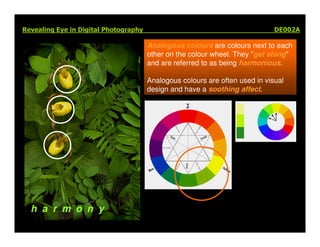 Elements Of Visual Design