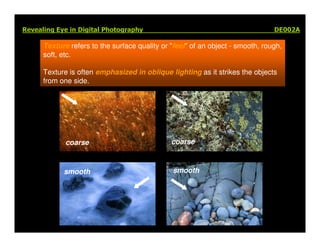 Elements Of Visual Design