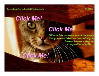 Elements Of Visual Design