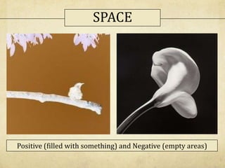 Positive (filled with something) and Negative (empty areas)
SPACE
 