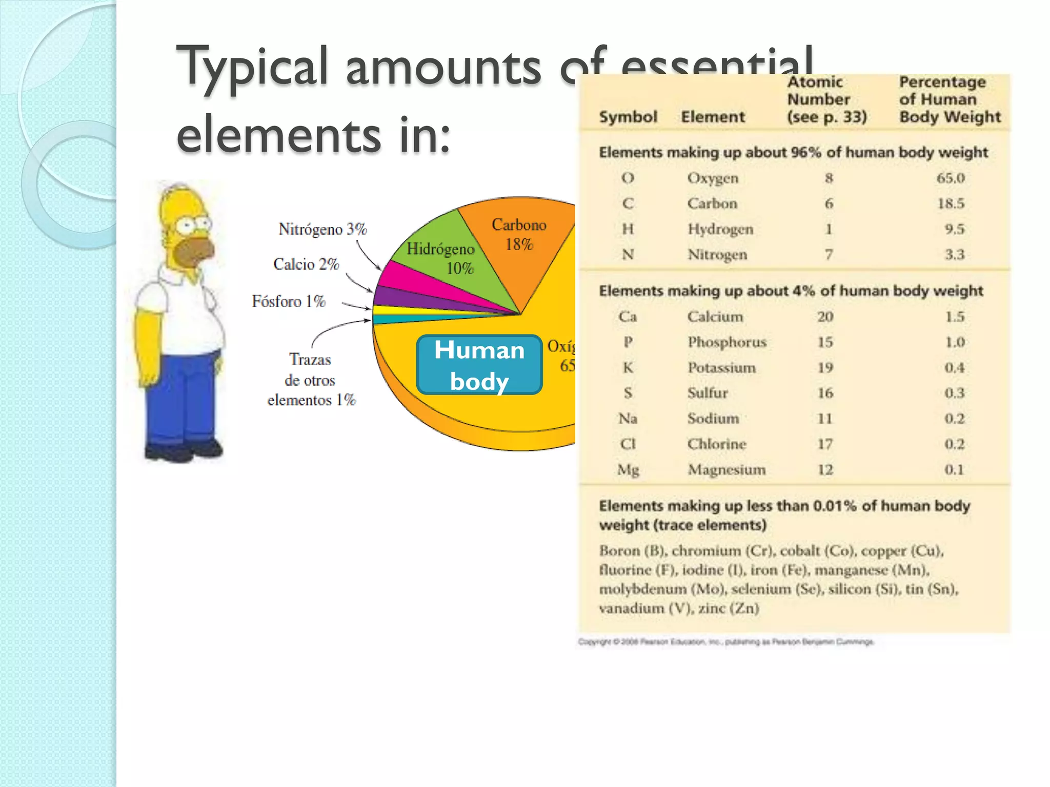 Typical amounts of essential elements in: 
Human body  