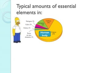 Typical amounts of essential elements in: 
Human body  