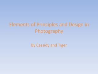 Elements of Principles and Design in
           Photography

         By Cassidy and Tiger
 