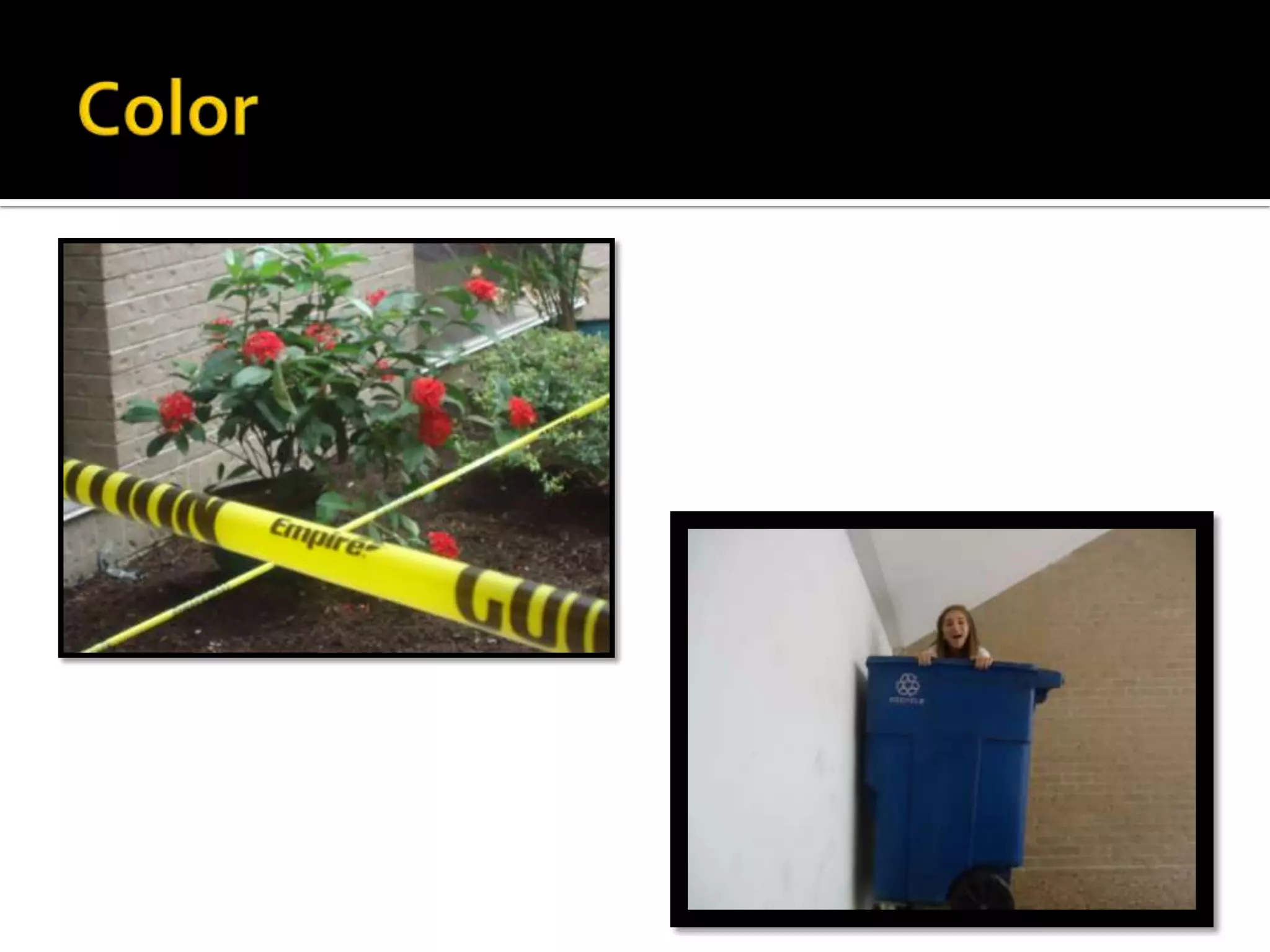 Elements and principles of art