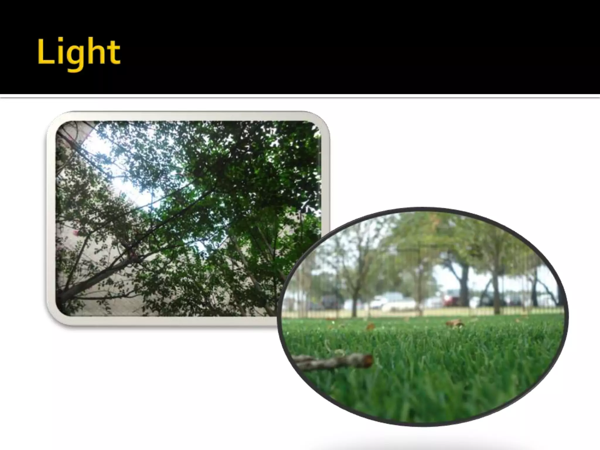 Elements and principles of art