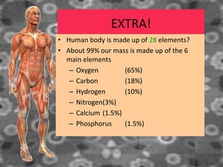 EXTRA!
• Human body is made up of 28 elements?
• About 99% our mass is made up of the 6
main elements
– Oxygen (65%)
– Carbon (18%)
– Hydrogen (10%)
– Nitrogen(3%)
– Calcium (1.5%)
– Phosphorus (1.5%)
 