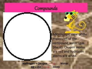 Compounds
Microscopic view of the
molecules of the
compound water (gas
phase). Oxygen atoms
are red and hydrogen
atoms are white.
Hydrogen + Oxygen Water
H2 + O2 2H2O
 