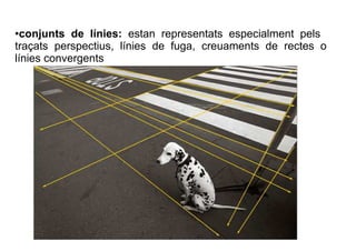 conjunts de línies: estan representats especialment pels 
traçats perspectius, línies de fuga, creuaments de rectes o 
lín...