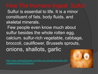 How The Humans Ingest Sulfur
 Sulfur is essential to life. It is a minor
constituent of fats, body fluids, and
skeletal minerals.
 Few people even know much about
sulfur besides the whole rotten egg,
calcium. sulfur-rich vegetable, cabbage,
broccoli, cauliflower, Brussels sprouts,
onions, shallots, garlic
http://www.marksdailyapple.com/why-you-should-eat-sulfur-rich-
vegetables/#ixzz2Cj0AxpmQ
 