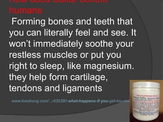 How does Sulfur benefit
humans
 Forming bones and teeth that
you can literally feel and see. It
won’t immediately soothe your
restless muscles or put you
right to sleep, like magnesium.
they help form cartilage,
tendons and ligaments
www.livestrong.com/.../430390-what-happens-if-you-get-too-much-...
 